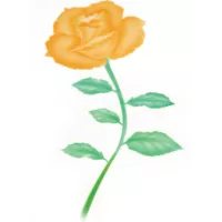 Estêncil com estampa de rosas e amarelos *