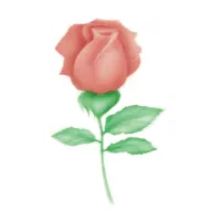 Estêncil com padrão de rosa fechada*