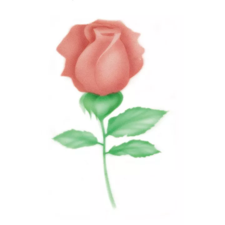 Estêncil com padrão de rosa fechada