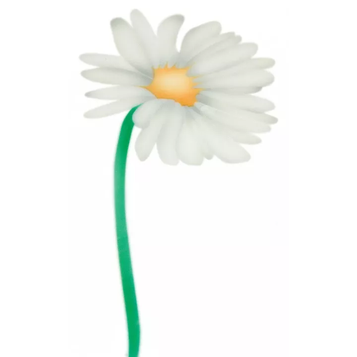 Estêncil com padrão de margaridas