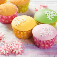 Mistura para Cupcakes Funcakes 500g