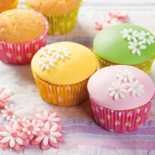 Mix Crème pâtissière Funcakes 500g