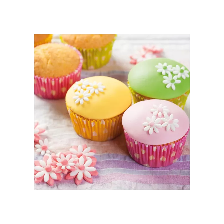 Mix Crème pâtissière Funcakes 500g