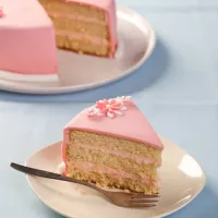 Mistura para Bolo Funcakes 500g