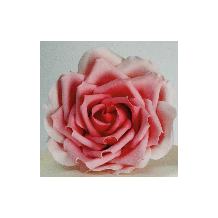 3 Emporte-pièces pétales de rose
