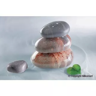 6 formes zen - Moule Silikomart Professionnel