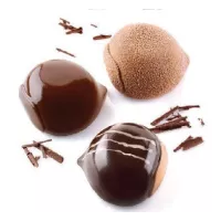 Molde para 6 Castanhas - Molde Profissional Silikomart