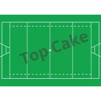 Campo de Rugby com Tapete de Wafer - PATICREA