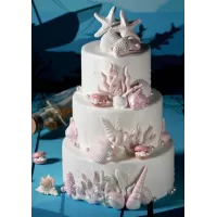 Conjunto de conchas de açúcar decorativas