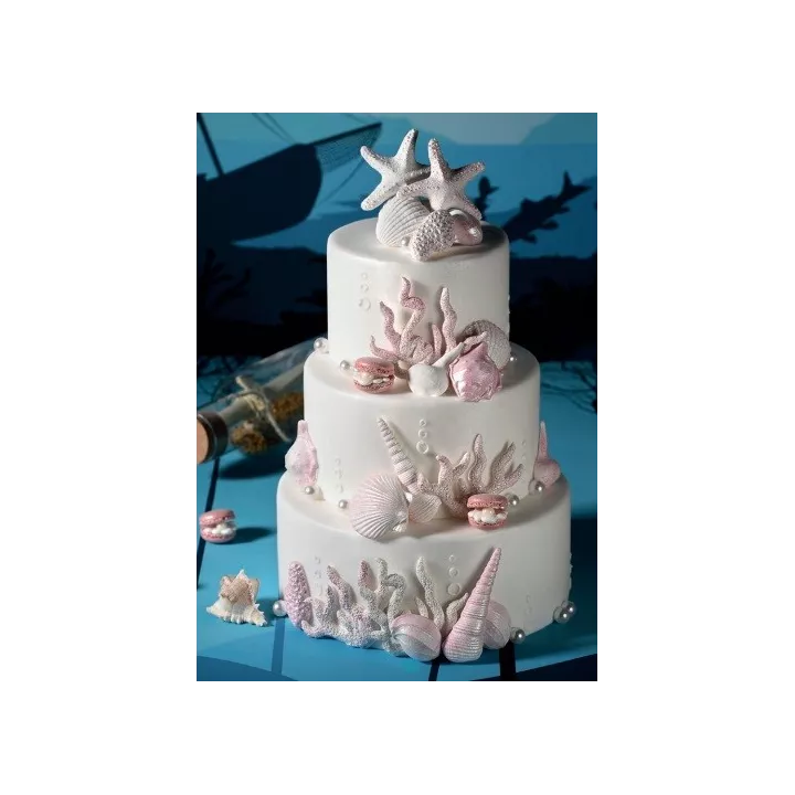 Set de 3 corails en sucre