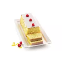 Forma de silicone Silikomart Plume Cake SFT330