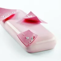 Molde de silicone Venus Pavoni