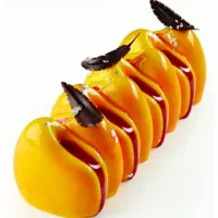 Molde de silicone Canyon Pavoni