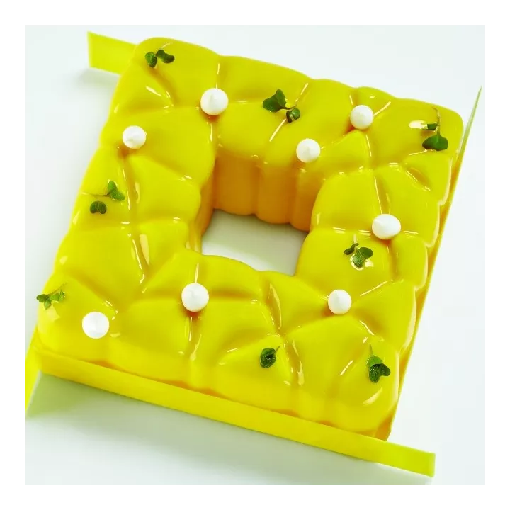 Moule Square Pavoni en Silicone