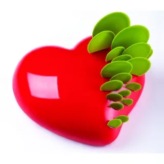 Moule Coeur Bombé Passion Pavoni en Silicone