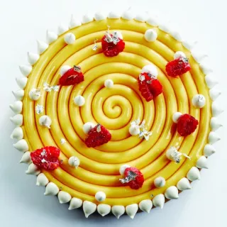 Moule Ipnosi 16 cm Pavoni en Silicone