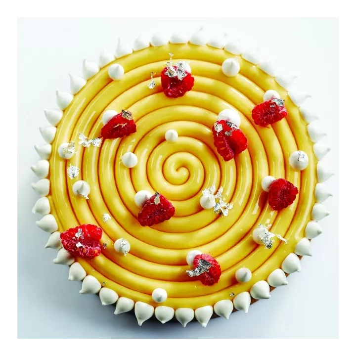 Moule Ipnosi 16 cm Pavoni en Silicone