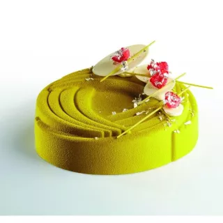 Moule Pavocake KE005 Pavoni en Silicone