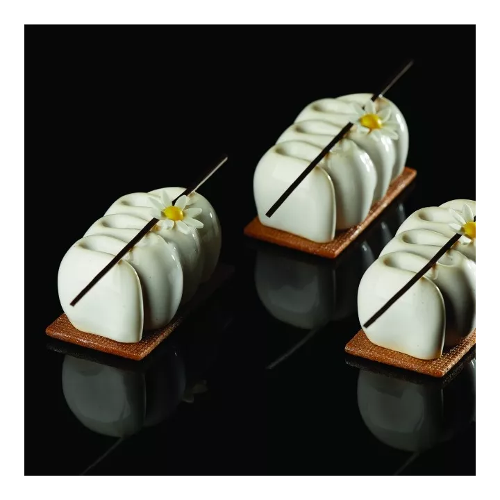 Moule Turn en Silicone - Pavoni