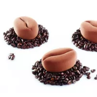 Molde Individual de Silicone Mocha - Pavoni