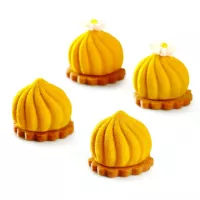 Molde de Silicone Mini Delice - Pavoni