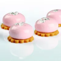 Molde de Silicone Planet Mignon 38 x 20 H - Pavoni