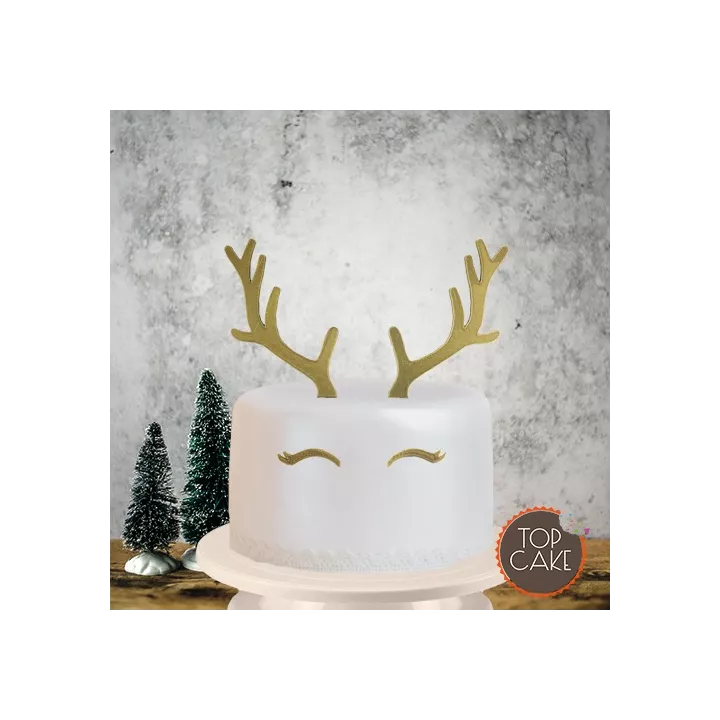 Kit Topper Renne