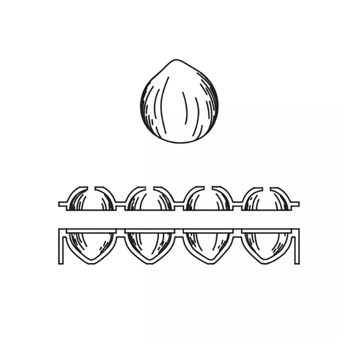 Moule Noisette individuel Pavoni en Silicone