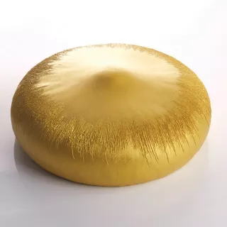 Pavoni Tangerine silicone mould