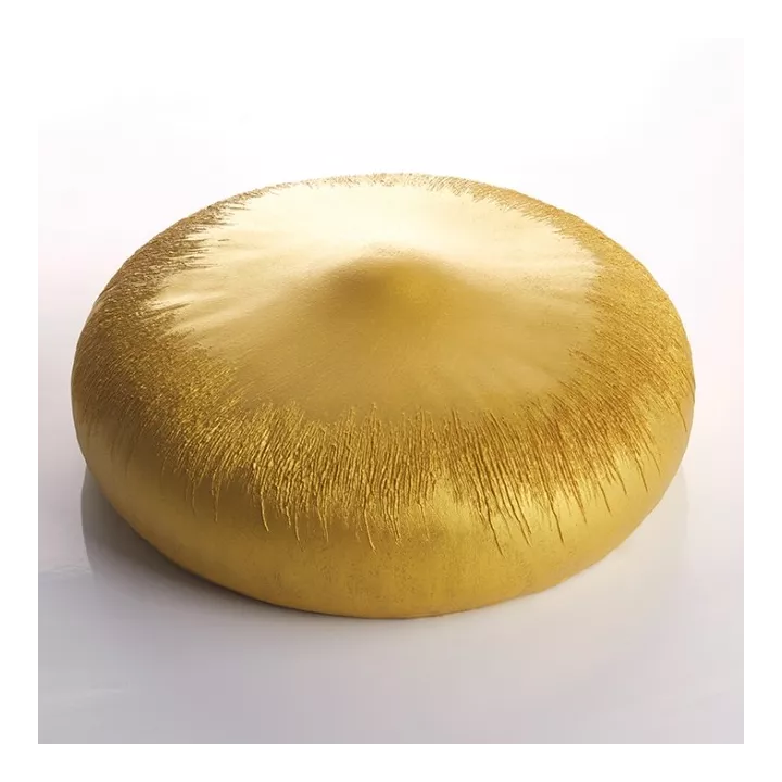Moule gâteau Noisette Pavoni en Silicone