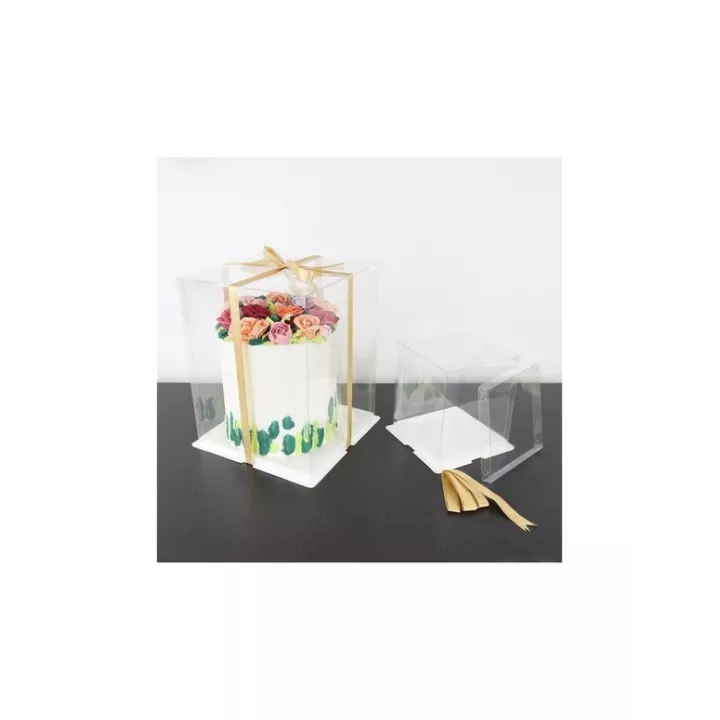 Transparente Transportboxen für hohe Torten, 25 x 25 x 33 cm