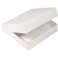 25 Catering-Tablettboxen 44 x 30