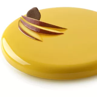 Moule rond 460 ml Silikomart Professional