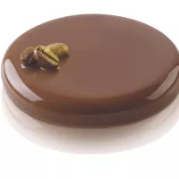 Molde profissional Silikomart de 6 unidades para 50ml