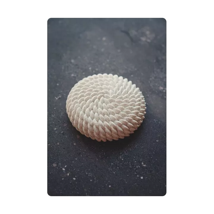 Moule façon Saint-Honoré en silicone - Pavoni