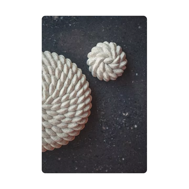 Moule individuel façon Saint-Honoré en silicone - Pavoni