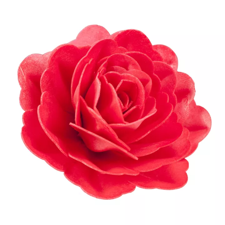 Grande rose rouge en azyme 12,5 cm