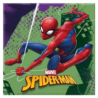 20 serviettes Spiderman 24 cm