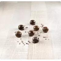 Molde Amleto de Chocolate Silikomart