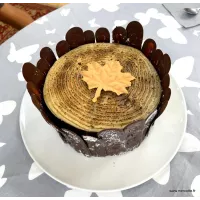 Estêncil de folha de bordo