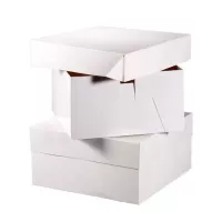 1 caixa de 25 x 25 x 15 cm para bolo de casamento