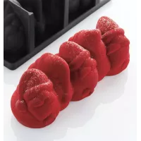 Molde de silicone Pavoni Santa Log