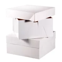 1 caixa de 20 x 20 x 15 cm para bolo de casamento