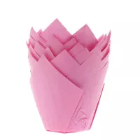 Rosa Tulpenboxen