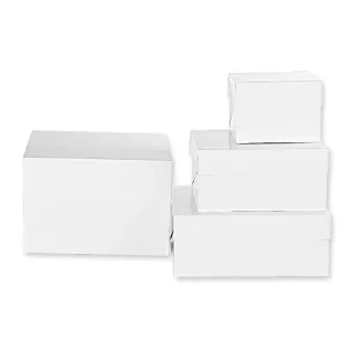Boîte de transport pour gâteaux 20x20x15cm