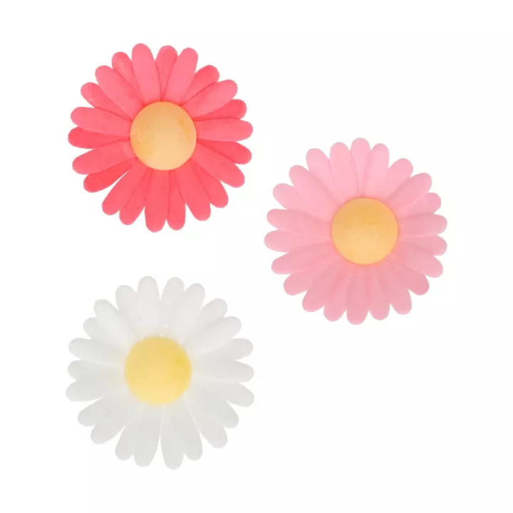 13 marguerites en azyme