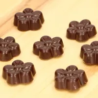 Flower Chocolate Mold