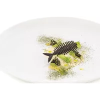 Lisca Silikomart naturae коврик из рыбьей кости