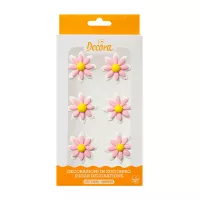 Conjunto de 6 margaridas de açúcar rosa e brancas
