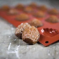 Molde de silicone para mini madeleines